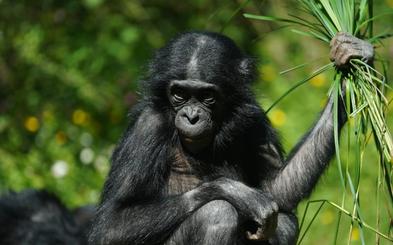 Zoo Köln 06.05.2020