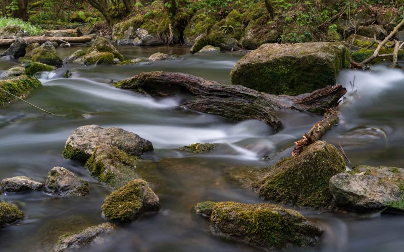Fotofreunde Solingen – Tour an der Düssel in Gruiten 08.05.2021