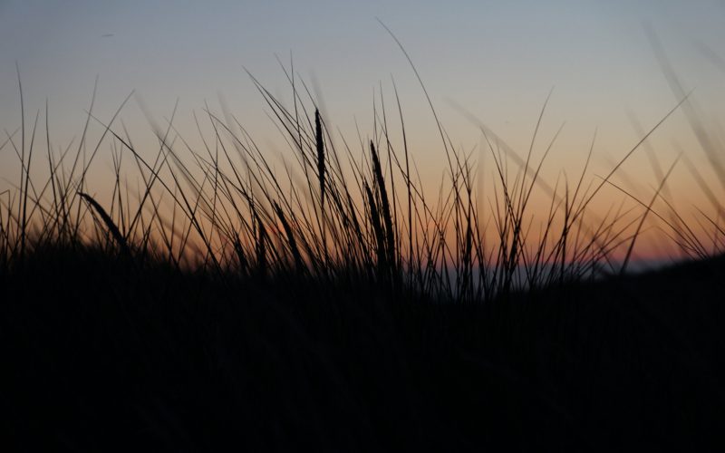 Holland – Westenschouwen – Juli 2018